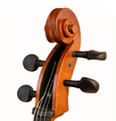 Chelo Amadeus Cellini 4/4 MC760L4/4