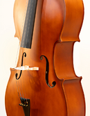 Chelo Amadeus Cellini 4/4 MC760L4/4