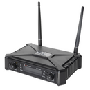 Micrófono Prosound Inalámbrico PWM-22D II