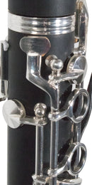 Clarinete Wessner SCL1100