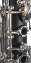 Clarinete Wessner SCL1100