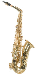 Saxofón Wessner Alto SSA1000-G