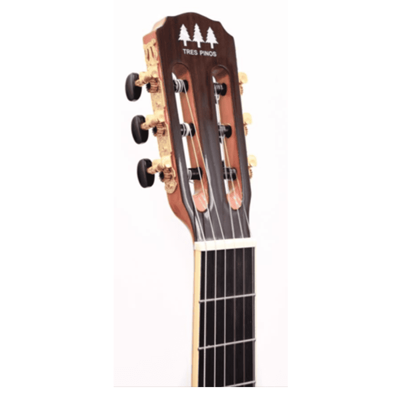 Guitarra Electroacustica Tres Pinos TPCES-0600 BR
