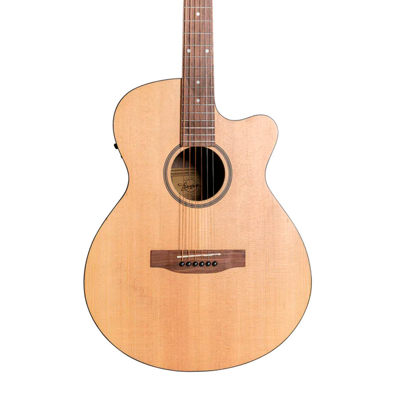 Guitarra Electroacústica Bamboo Spruce GA-40