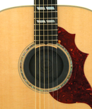 Ahogador Planet Waves PW-SH-01